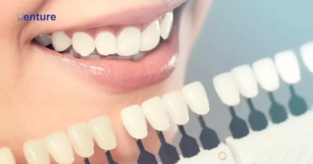 Dentures vs. Veneers The Procedure