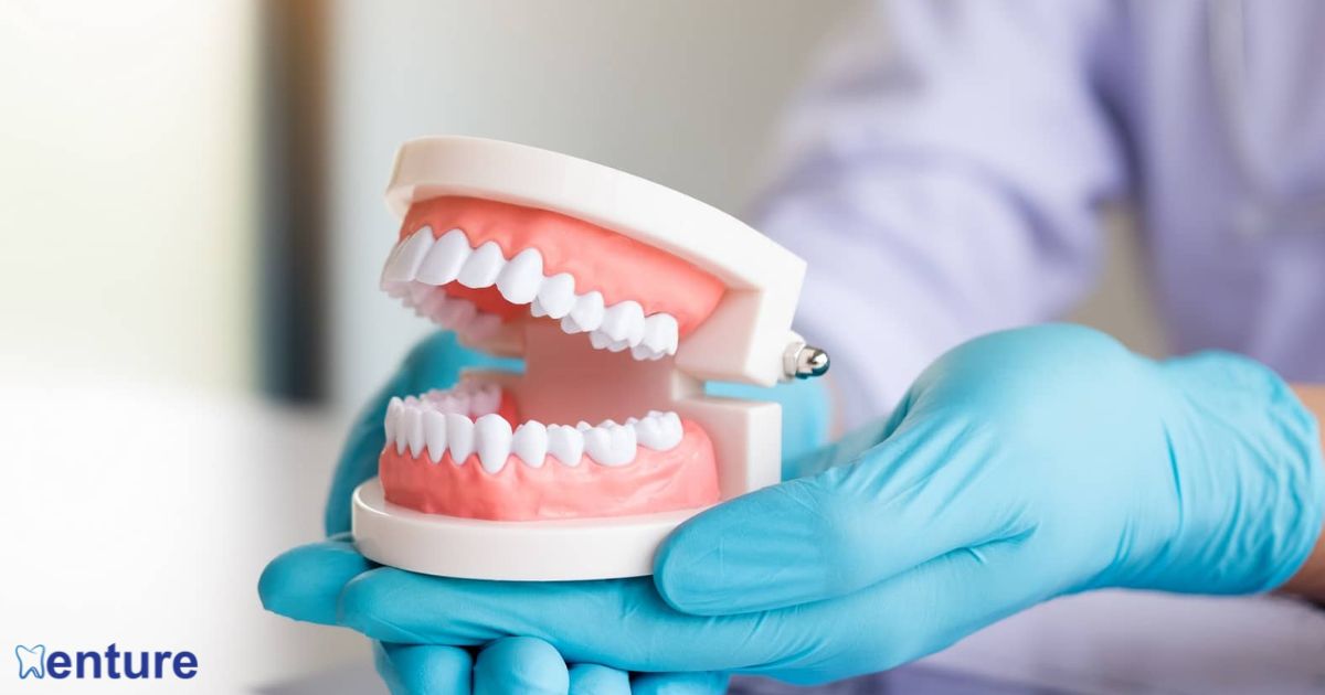 Factors That Affect the Cost of Dentures